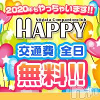 ȯѥ˥󥯥ֿ㥳ѥ˥󥯥 HAPPY(˥ѥ˥󥯥 ϥåԡ)  2020ǯ16̥֥֥͵Ǥ♡