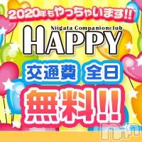 ȯѥ˥󥯥ֿ㥳ѥ˥󥯥 HAPPY(˥ѥ˥󥯥 ϥåԡ)  2020ǯ1225̥֥HAPPYϲİҤ·
