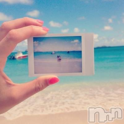 Ĺ襳ѥ˥󥯥ֻ򥳥ѥ˥󥯥 Amour(ࡼ) ҤȤߡȡϡ(18)722̥֥I wish you a happy summer