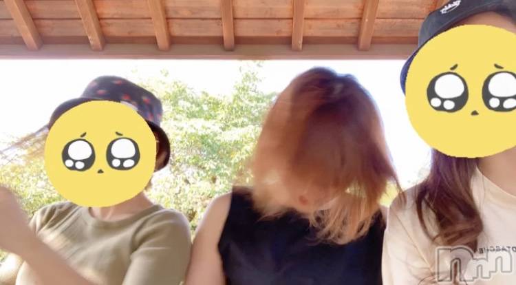 ܱХ顦֥ ץ ( ץ ޥĥ)  ʤ97ַ̥֥