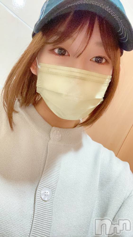 ܱХ顦֥ ץ ( ץ ޥĥ)  ʤ523̥֥֤