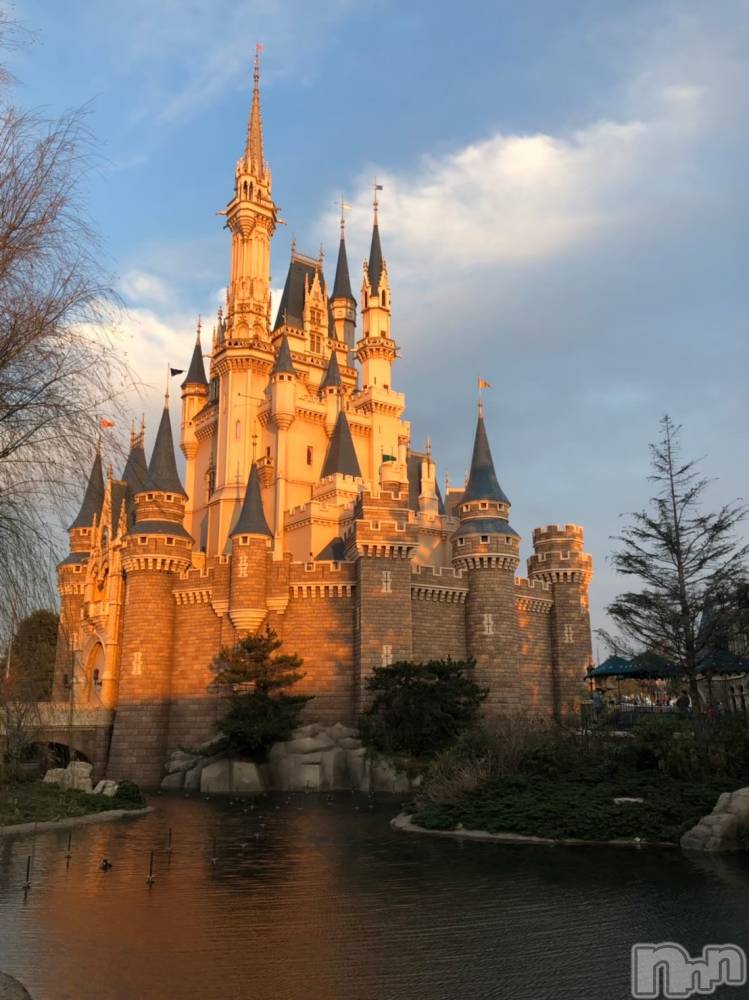 ܱХ顦֥ ץ ( ץ ޥĥ)  ʤ528̥֥🐣🌀