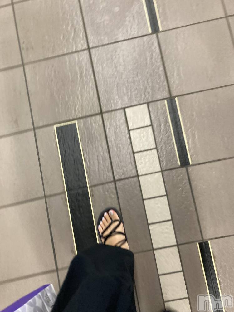 ܱХ顦֥ ץ ( ץ ޥĥ)  ʤ729̥֥👣