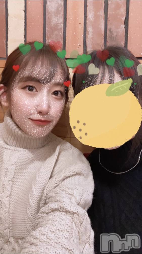 ܱХ顦֥ ץ ( ץ ޥĥ)  ʤ16̥֥2022