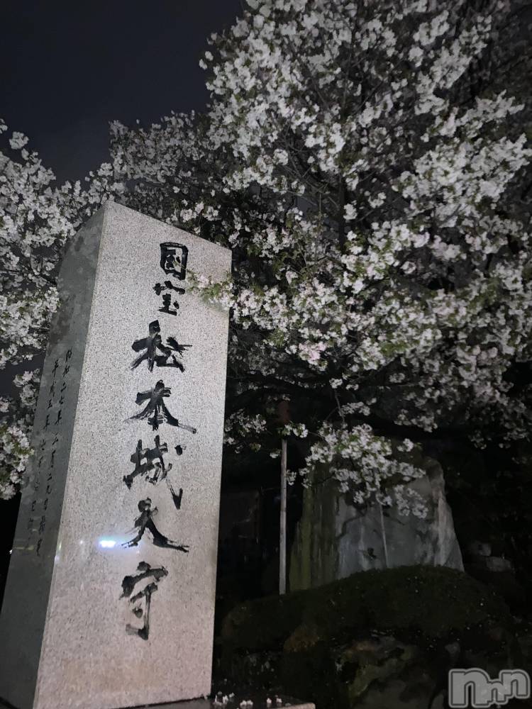 ܱХ顦֥ ץ ( ץ ޥĥ)  ʤ416̥֥🏯🌸