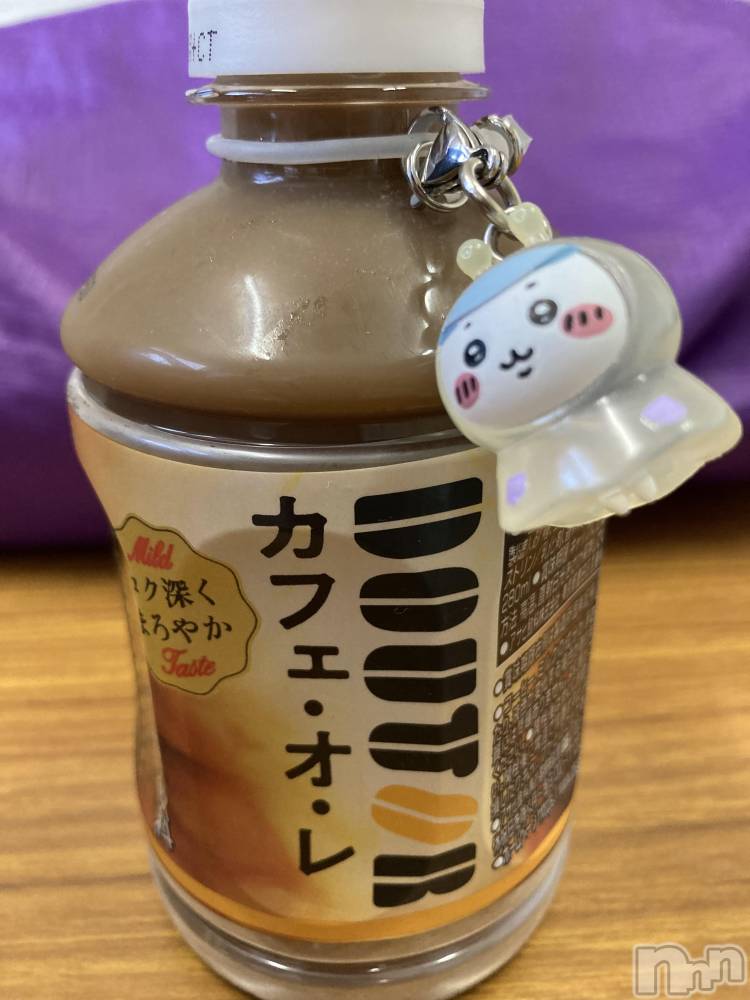 ܱХ顦֥ ץ ( ץ ޥĥ)  ʤ1020̥֥֥磻