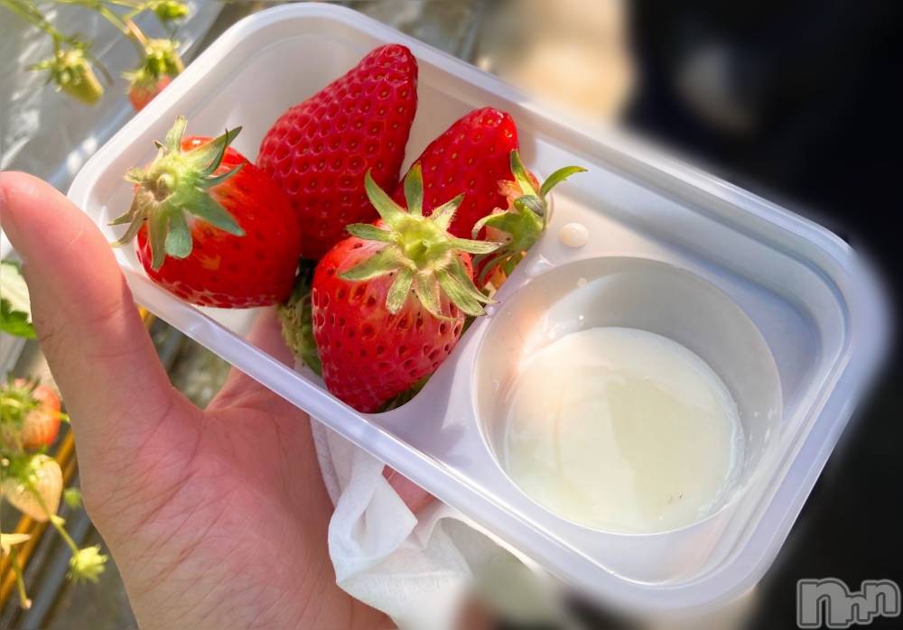 ܱХ顦֥ ץ ( ץ ޥĥ)  ʤ37̥֥֥🫶