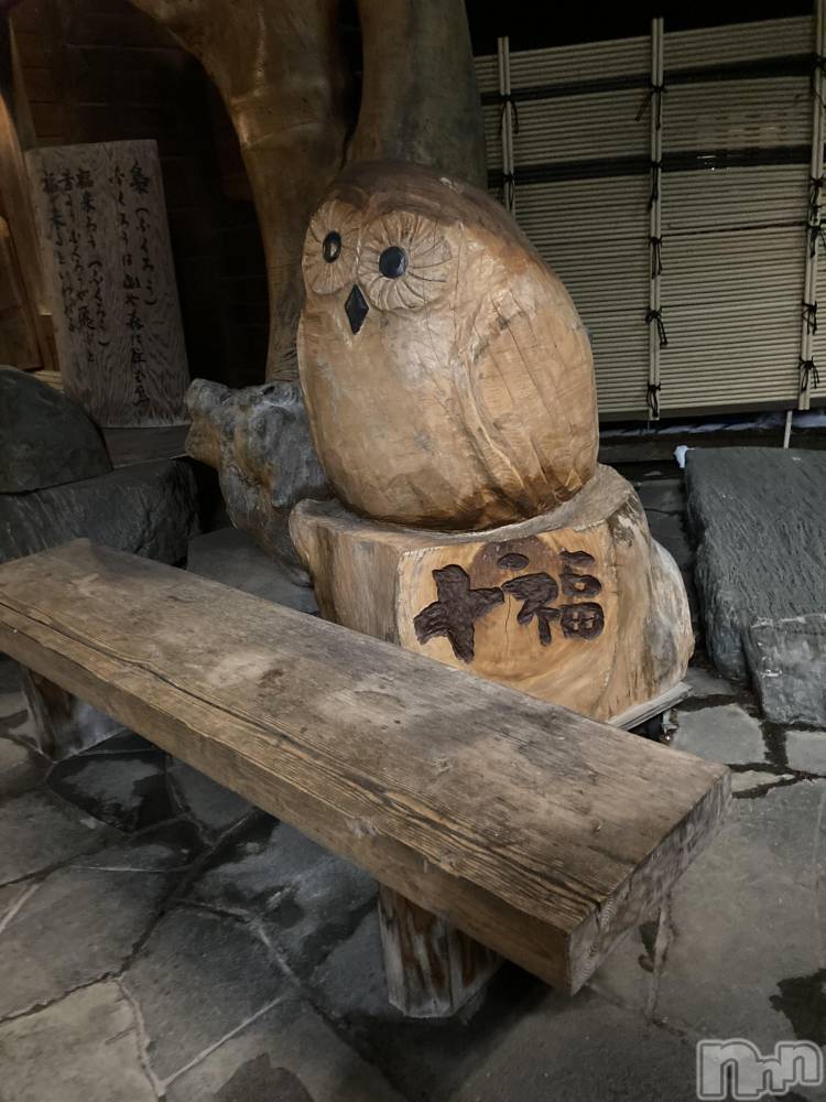 ܱХ顦֥ ץ ( ץ ޥĥ)  ʤ320̥֥♨️