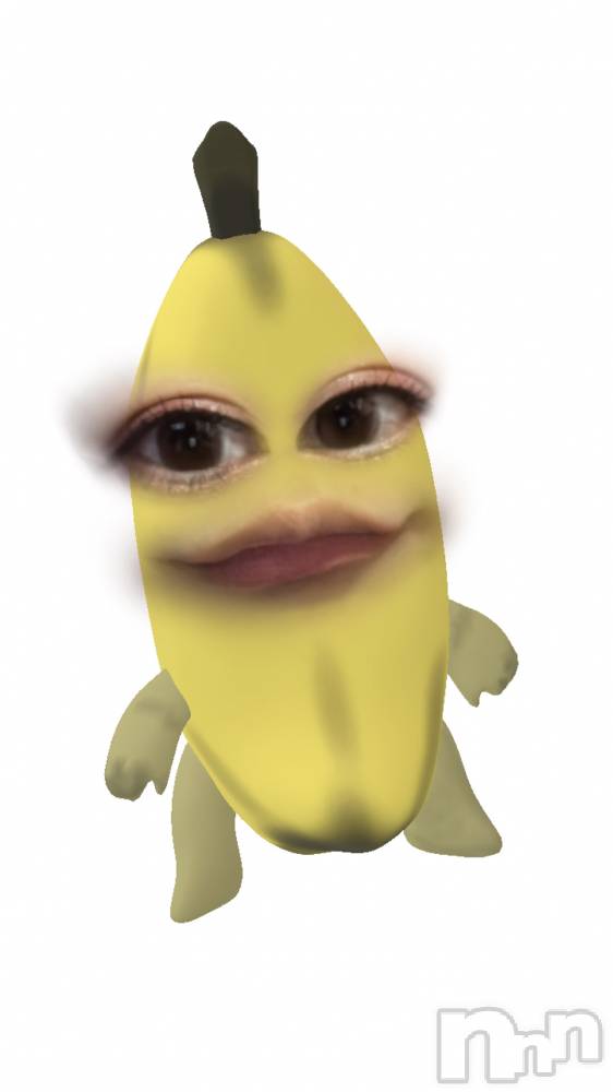 ܱХ顦֥ ץ ( ץ ޥĥ)  ʤ529̥֥֥ͥ।
