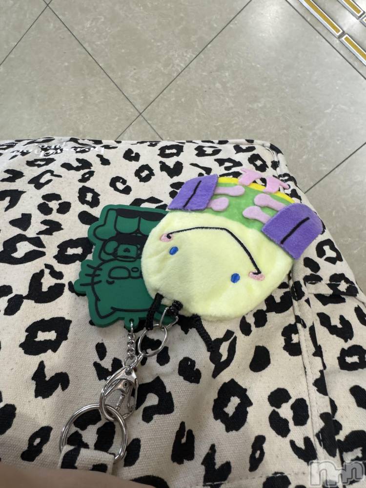 ���ܱ�������Х��顦����֥���� �ץ���� ����(����� �ץ���� �ޥĥ��) ��� ����ʤ�8��15���̥�֥����֤Ǥ�ܡ�