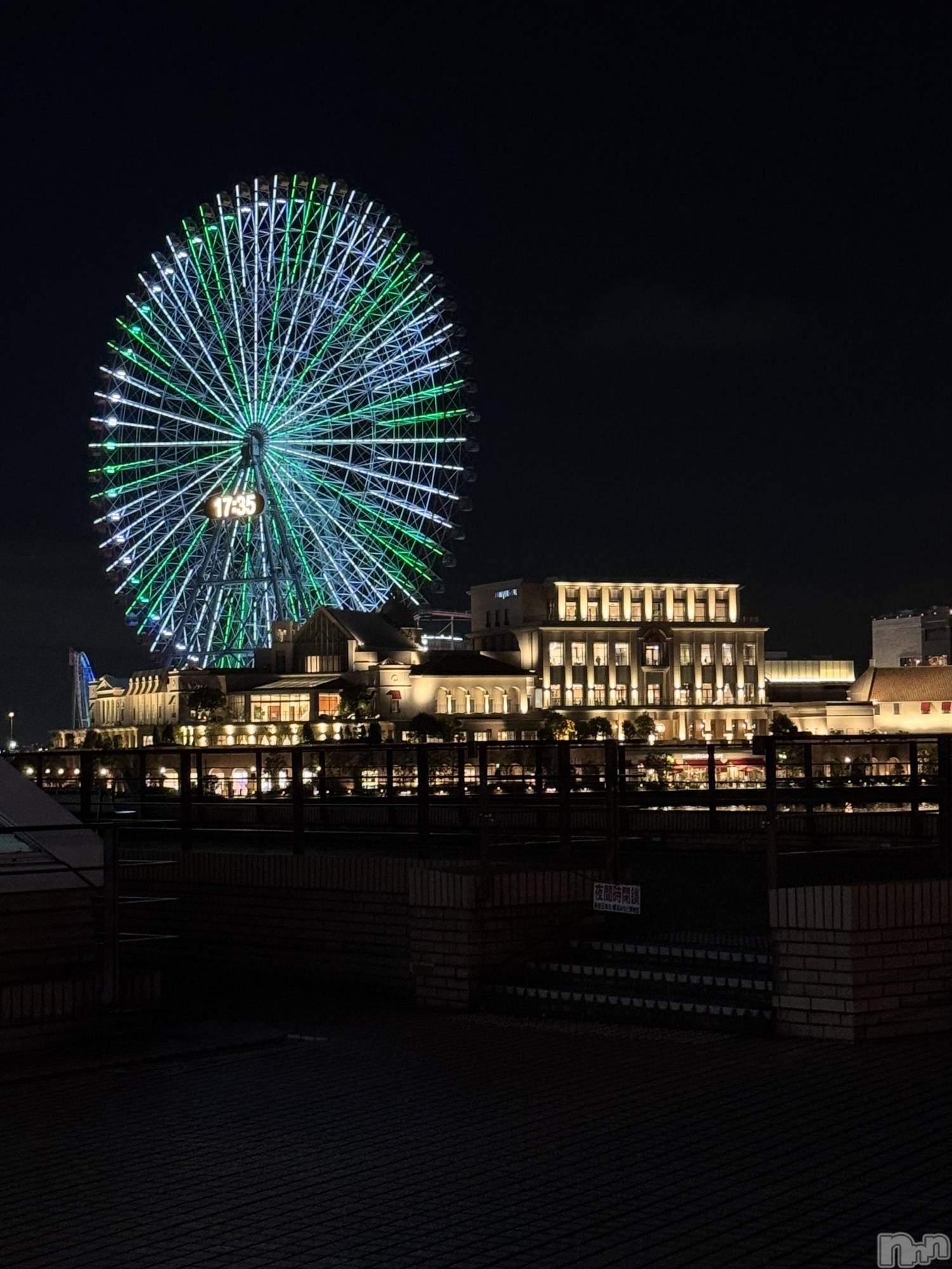 ܱХ顦֥ ץ ( ץ ޥĥ) 2025ǯ1128̥֥🎡