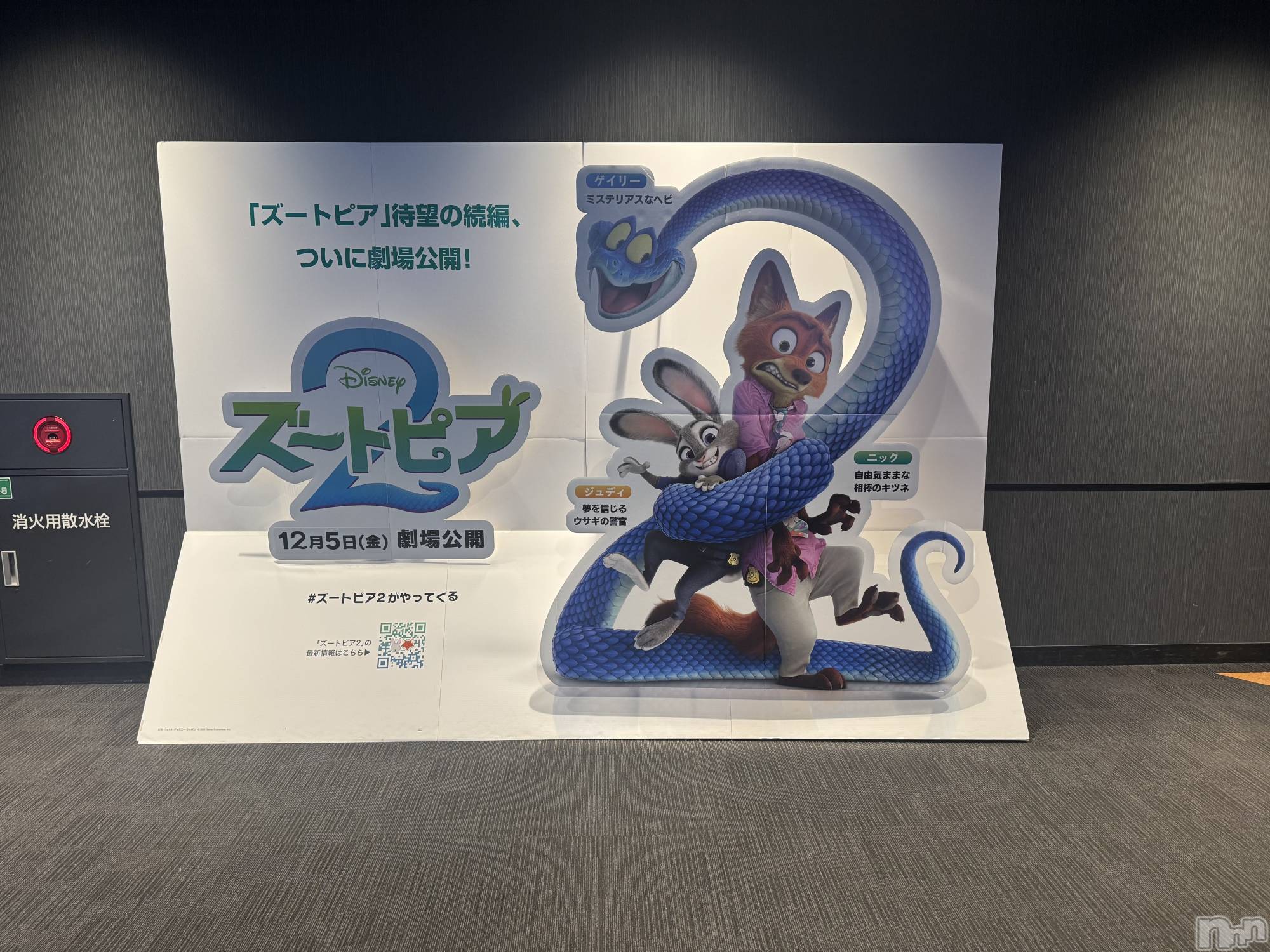 ���ܱ�������Х��顦����֥���� �ץ���� ����(����� �ץ���� �ޥĥ��) ��2026ǯ1��7���̥�֥�����🐰🦊��