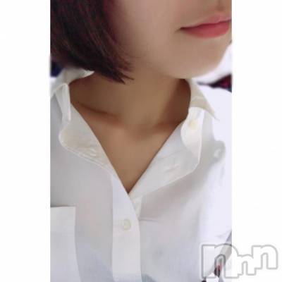 ܱХ顦֥ ץ ( ץ ޥĥ)  ʤ826̥֥Yġ