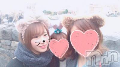 ܱХ顦֥ ץ ( ץ ޥĥ)  ʤ1121̥֥֤Ĥ衼ӡ