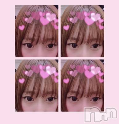 ܱХ顦֥ ץ ( ץ ޥĥ)  ʤ1212̥֥֤