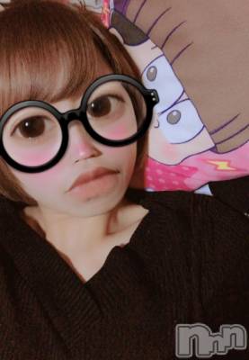 ܱХ顦֥ ץ ( ץ ޥĥ)  ʤ1228̥֥֤Ĥġ