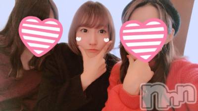 ܱХ顦֥ ץ ( ץ ޥĥ)  ʤ113̥֥֤衼ӡ