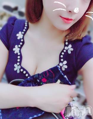 ܱХ顦֥ ץ ( ץ ޥĥ)  ʤ714ֻ̥֥Ϣ١