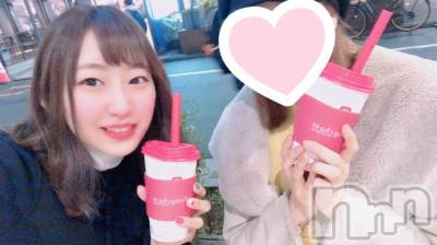 ܱХ顦֥ ץ ( ץ ޥĥ)  ʤ228̥֥֤ԡ
