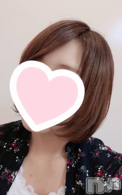ܱХ顦֥ ץ ( ץ ޥĥ)  ʤ619̥֥֤ӡ