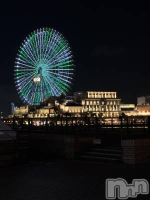 ���ܱ�������Х��顦����֥���� �ץ���� ����(����� �ץ���� �ޥĥ��) ��� ����ʤ�11��28���̥�֥�����🎡��