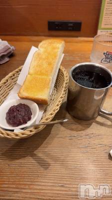 ���ܱ�������Х��顦����֥���� �ץ���� ����(����� �ץ���� �ޥĥ��) ��� ����ʤ�12��5���̥�֥�����☕𓈒𓏸︎︎︎︎��