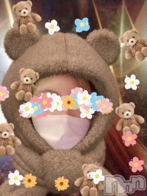 ƲХ顦֥ ץ Ĺ( ץ ʥ) 511̥֥֡