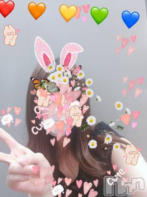 ƲХ顦֥ ץ Ĺ( ץ ʥ) 710̥֥֡