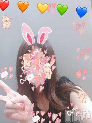 ƲХ顦֥ ץ Ĺ( ץ ʥ) 812̥֥֡