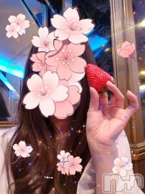 ƲХ顦֥ ץ Ĺ( ץ ʥ) 115̥֥֡