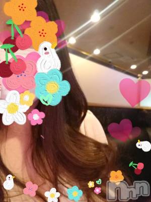 ƲХ顦֥ ץ Ĺ( ץ ʥ) 316̥֥֡