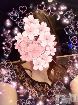 ƲХ顦֥ ץ Ĺ( ץ ʥ) 326̥֥֡