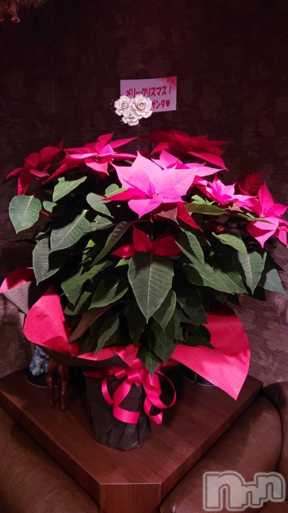 ĮХ顦club Diana(֥ǥ) ڤ1212̥֥礭ʥץ쥼🎁
