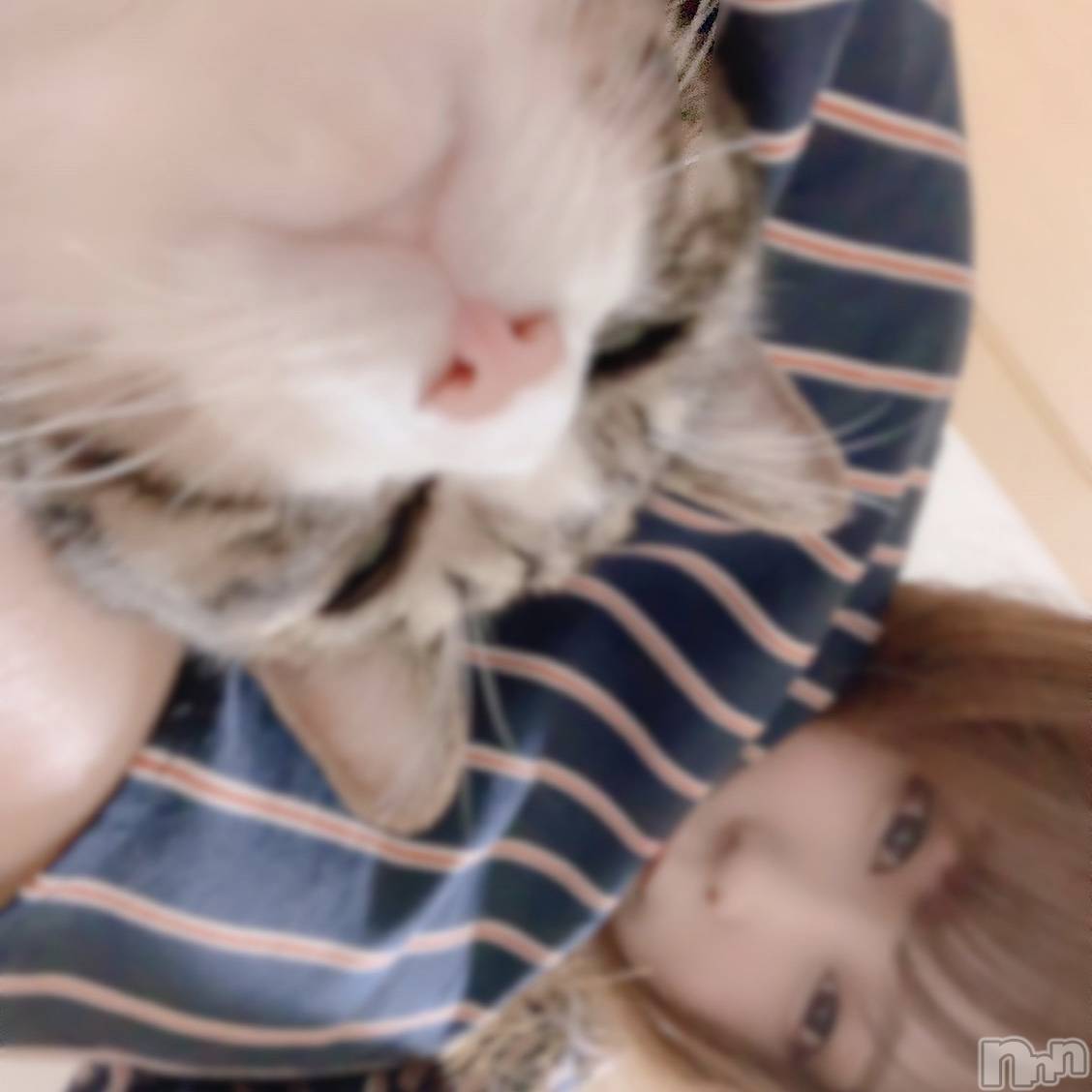 ĮХ顦club Diana(֥ǥ) 2019ǯ1112̥֥֤ޡ