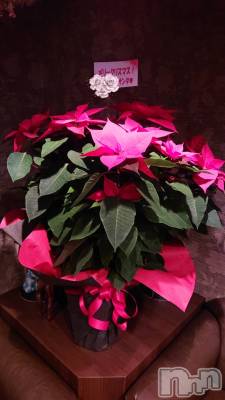 ĮХ顦club Diana(֥ǥ) ڤ1212̥֥礭ʥץ쥼🎁