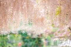 上越デリヘル上越風俗出張アロママッサージ(ジョウエツフウゾクシュッチョウアロママッサージ) かなた☆(40)の5月12日写メブログ「こんにちは」