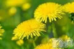 上越デリヘル上越風俗出張アロママッサージ(ジョウエツフウゾクシュッチョウアロママッサージ) かなた☆(40)の3月20日写メブログ「天気いいー」