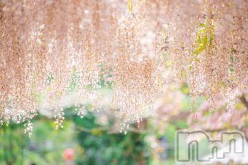 上越デリヘル 上越風俗出張アロママッサージ(ジョウエツフウゾクシュッチョウアロママッサージ) かなた☆(40)の5月12日写メブログ「こんにちは」