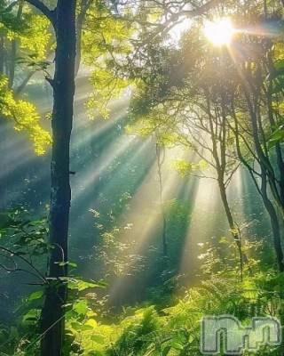 上越デリヘル 上越風俗出張アロママッサージ(ジョウエツフウゾクシュッチョウアロママッサージ) かなた☆(40)の2月28日写メブログ「てんとう虫」