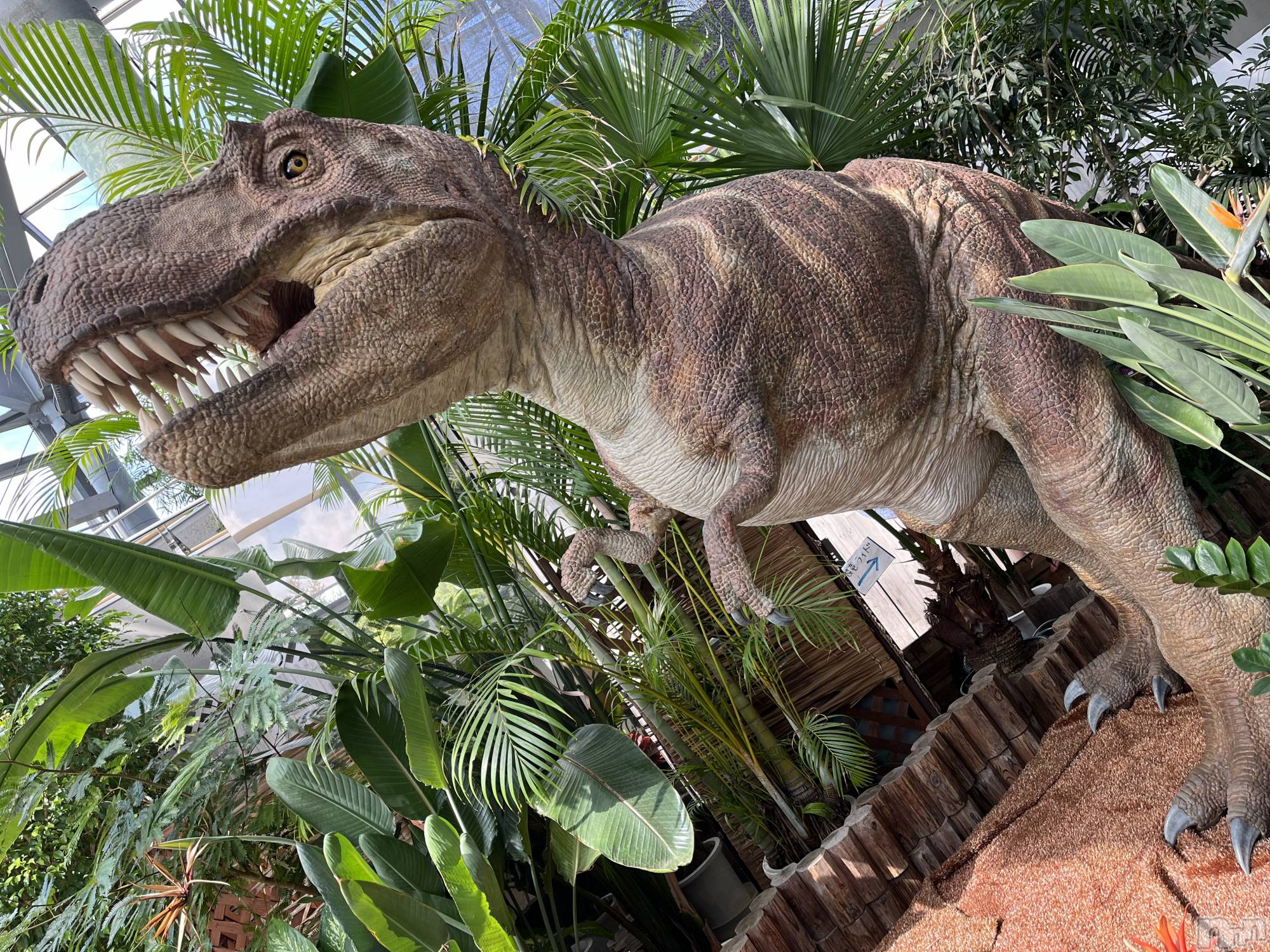 㽩ն襹ʥå륺СCafe&Bar Place(եɥСץ쥤) 2023ǯ911̥֥🦕