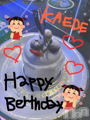 㽩ն襹ʥå륺СCafe&Bar Place(եɥСץ쥤) ͤͤ1121̥֥֥٥ȹ❣️