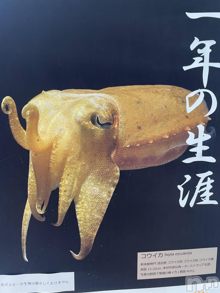 上越人妻デリヘル上越最安値！奥様Deli急便(ジョウエツサイヤスネ！オクサマデリキュウビン) 限定レア出勤 はるか(42)の10月17日写メブログ「ごめんなさい」