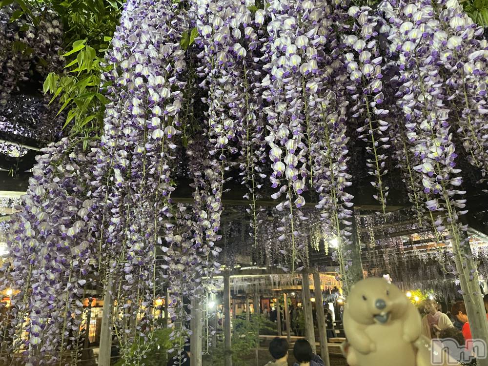 上越デリヘル上越最安値！奥様Deli急便(ジョウエツサイヤスネ！オクサマデリキュウビン) 限定レア出勤 はるか(42)の5月7日写メブログ「GWが去り」