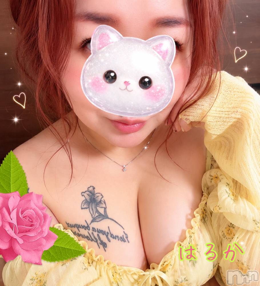 上越デリヘル上越最安値！奥様Deli急便(ジョウエツサイヤスネ！オクサマデリキュウビン) 限定レア出勤 はるか(42)の6月7日写メブログ「ねえ？」