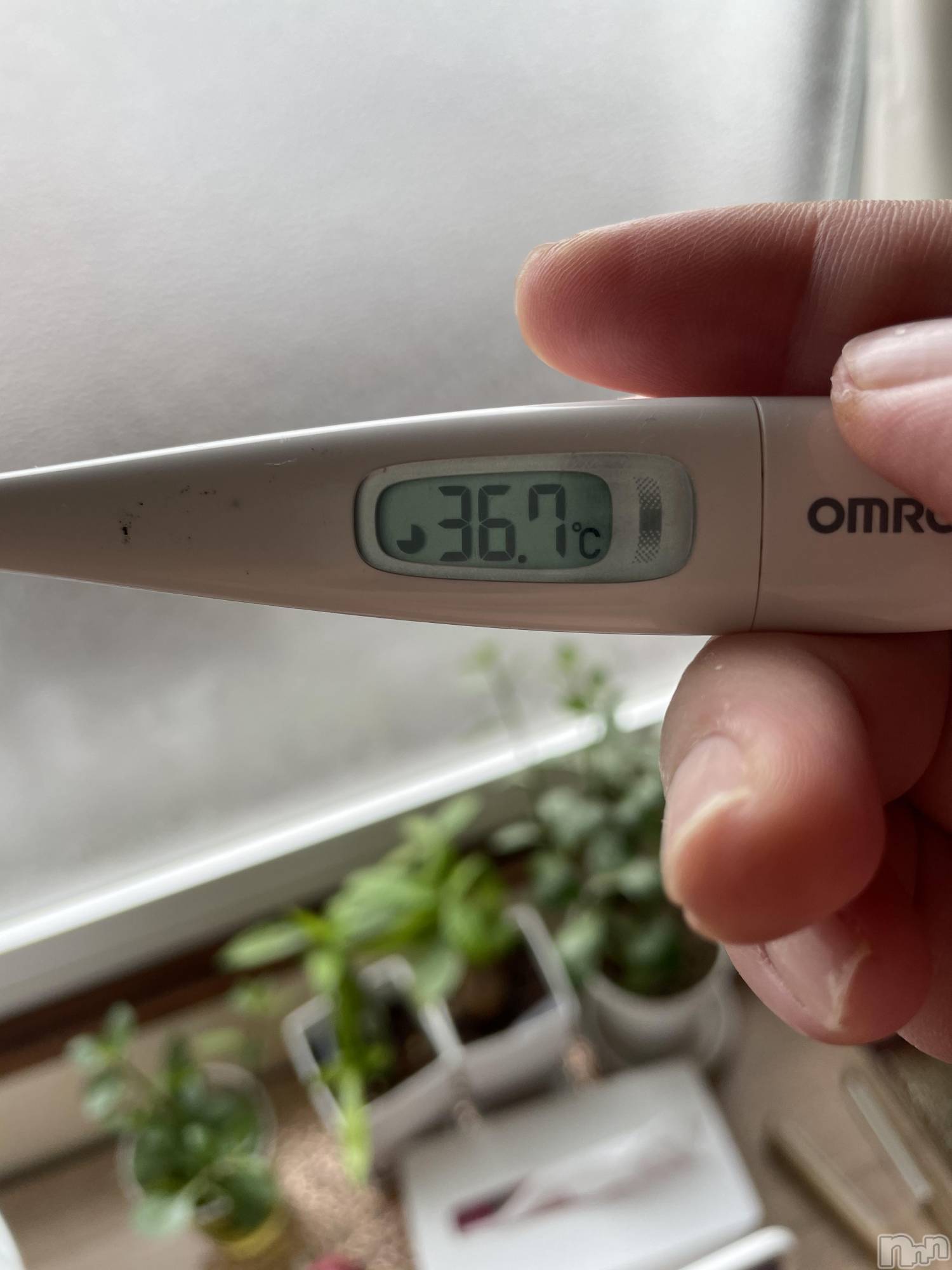 上越デリヘル上越最安値！奥様Deli急便(ジョウエツサイヤスネ！オクサマデリキュウビン)限定レア出勤 はるか(42)の2022年4月26日写メブログ「体温」