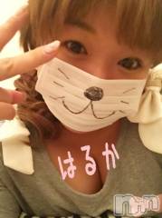 上越デリヘル上越最安値！奥様Deli急便(ジョウエツサイヤスネ！オクサマデリキュウビン) 限定レア出勤 はるか(42)の9月4日写メブログ「こんばんは」