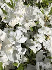 上越デリヘル上越最安値！奥様Deli急便(ジョウエツサイヤスネ！オクサマデリキュウビン) 限定レア出勤 はるか(42)の6月2日写メブログ「才能」