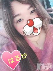 上越デリヘル上越最安値！奥様Deli急便(ジョウエツサイヤスネ！オクサマデリキュウビン) 限定レア出勤 はるか(42)の5月29日写メブログ「深読み」