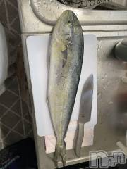 上越デリヘル上越最安値！奥様Deli急便(ジョウエツサイヤスネ！オクサマデリキュウビン) 限定レア出勤 はるか(42)の10月15日写メブログ「シイラ」