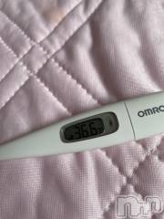 上越デリヘル上越最安値！奥様Deli急便(ジョウエツサイヤスネ！オクサマデリキュウビン) 限定レア出勤 はるか(42)の6月11日写メブログ「体温」